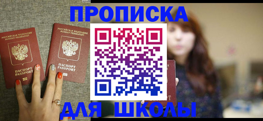 временная регистрация недорого в Невеле